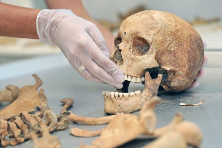 rosto-de-‘vampira’-de-400-anos-e-reconstruido-na-polonia;-veja-o-resultado