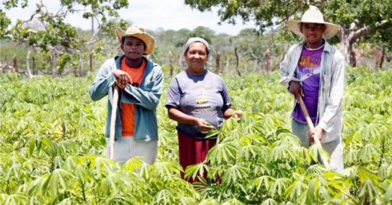 populacao-rural-supera-urbana-em-128-municipios-baianos,-aponta-ibge