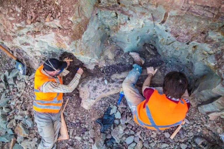 dinossauro-inedito-de-100-milhoes-de-anos-e-descoberto-no-maranhao