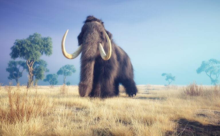 extincao-dos-mamutes:-evento-aleatorio-ou-mudanca-climatica?