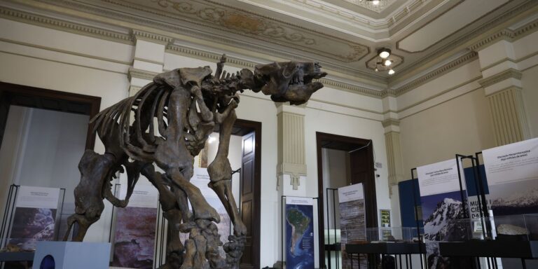museu-de-ciencias-da-terra-sera-revitalizado-no-rio