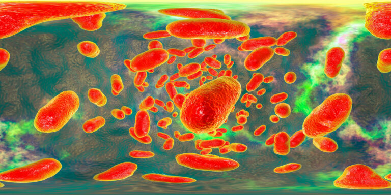 bacterias-presentes-na-nossa-boca-podem-combater-o-alzheimer