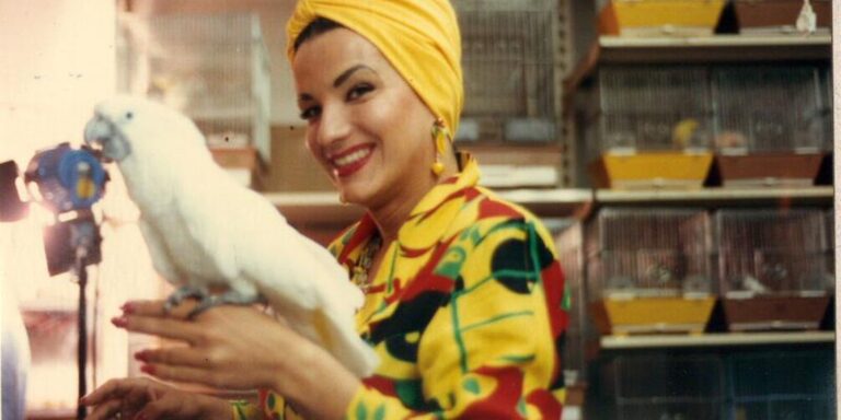 hoje-e-dia:-carmen-miranda-e-hans-christian-andersen-sao-destaques