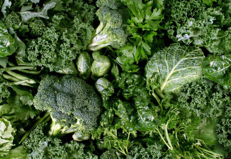 dietas-vegetarianas-podem-reduzir-o-risco-de-cancer,-diz-estudo