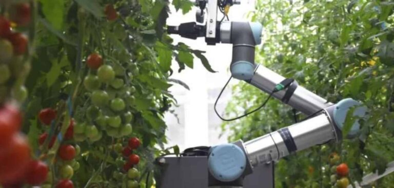 robos-e-ia-assumem-polinizacao-de-plantas-no-dia-a-dia