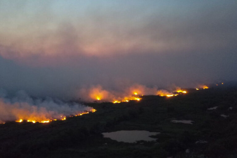 incendios-florestais-deterioram-a-qualidade-do-ar-a-quilometros-de-distancia,-alerta-onu