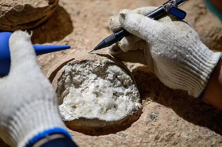 cristais-sao-encontrados-dentro-de-ovos-de-dinossauros